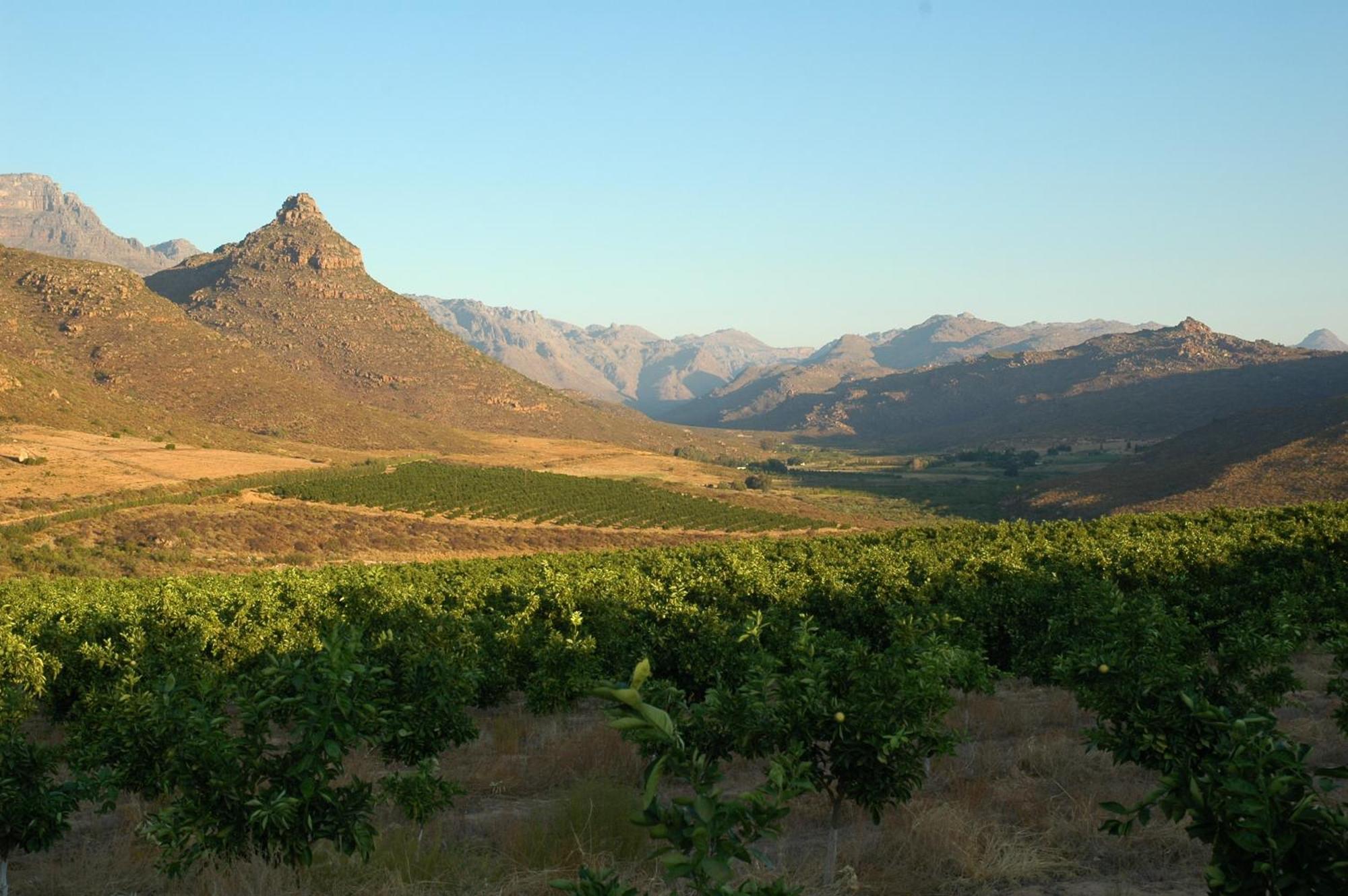 Вилла Klein Boschkloof Клануильям Экстерьер фото